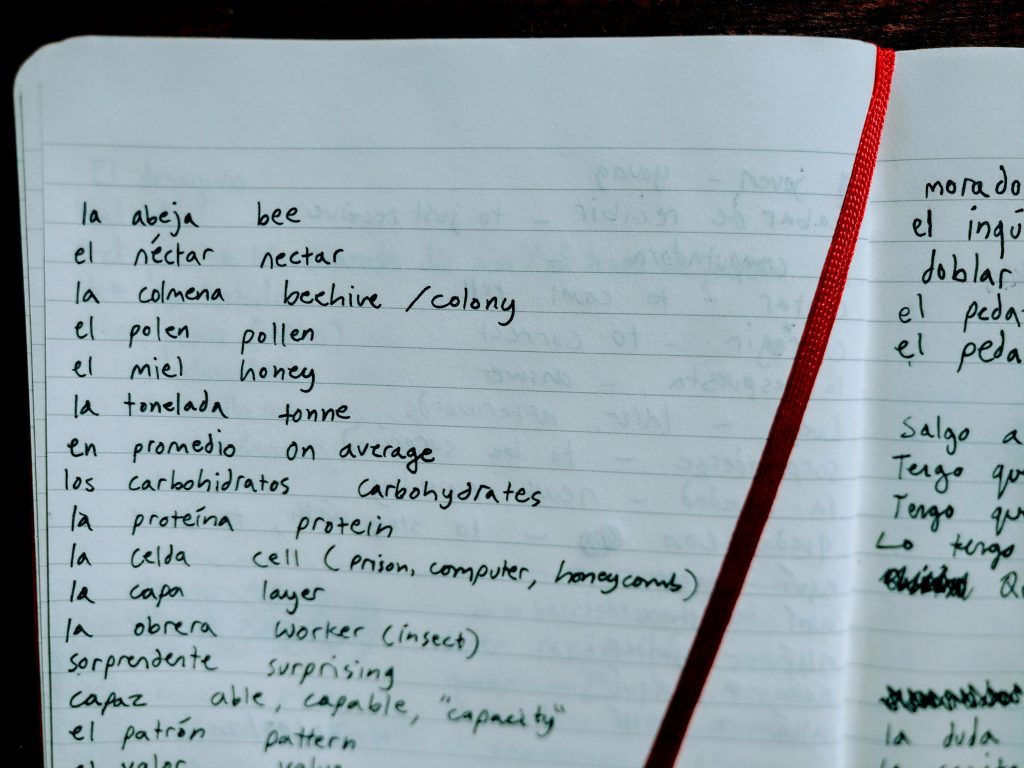 page from spanish notebook